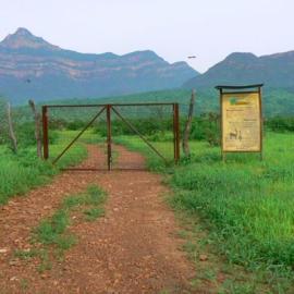 Peru’s Chaparrí Conservation Area:  A Wildlife Reserve in the Tumbesian Dry Forests